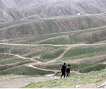 وزارت زراعت در پی احیای جنگلات طبیعی و ایجاد کمربند سبز